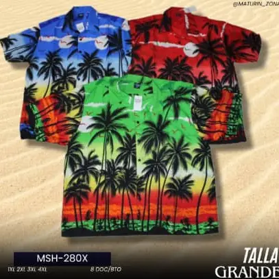 Camisa veraniega de hombre 3XL — imagen 1