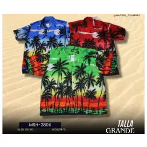 Camisa veraniega de hombre 3XL miniatura 1
